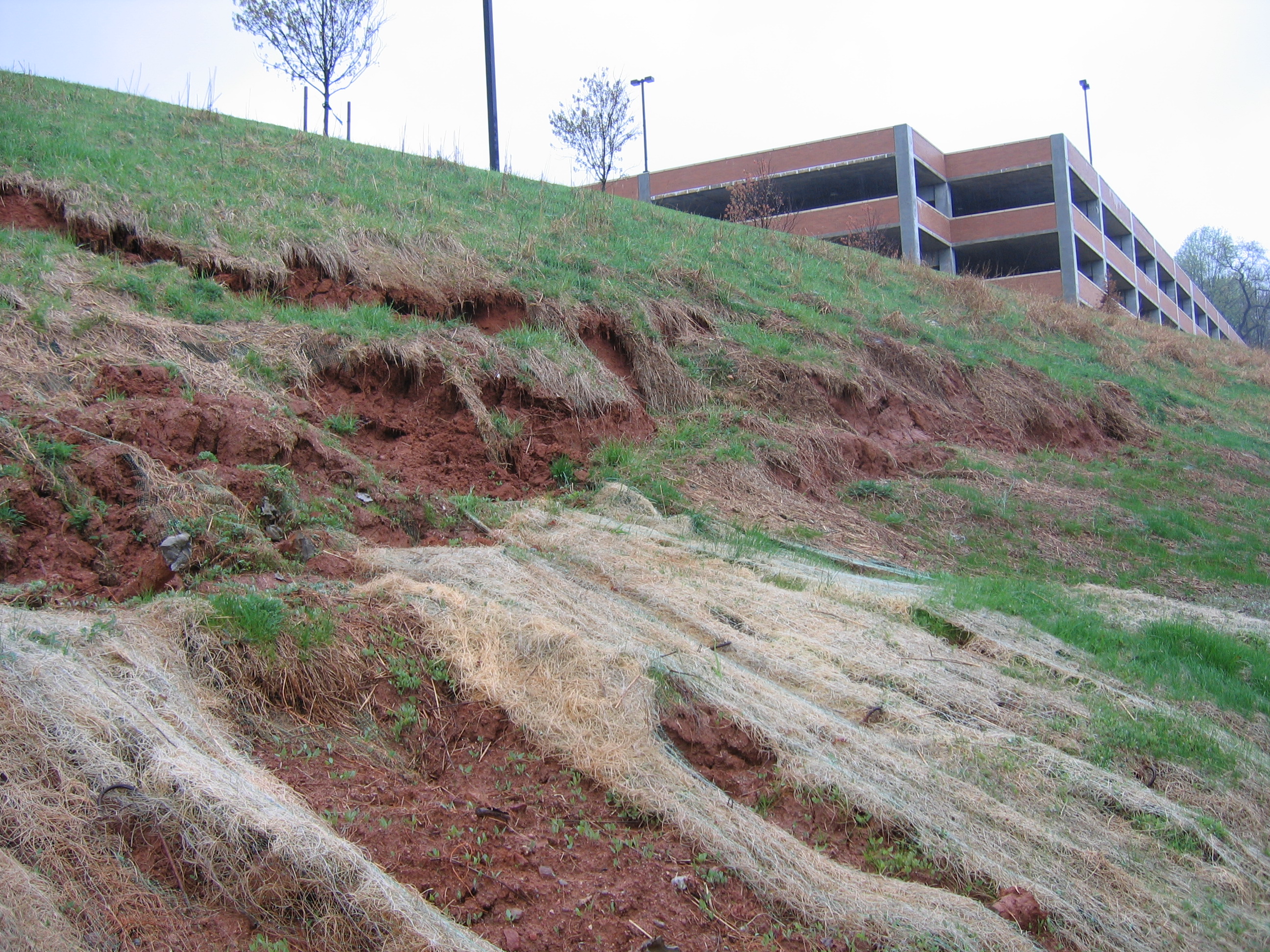 20050511238.JPG